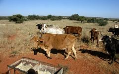 090509_South_Africa 197